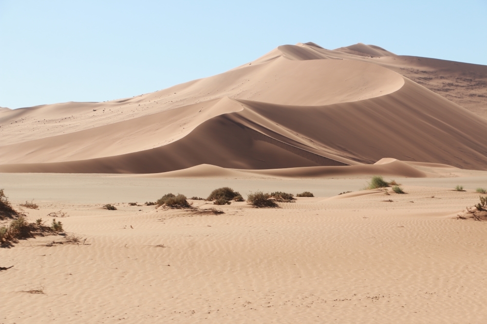 Duine beweeg al hoe vinniger - Republikein - Jou Land, Jou Taal, Jou Nuus